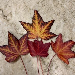 Meet your Posher, Tracey